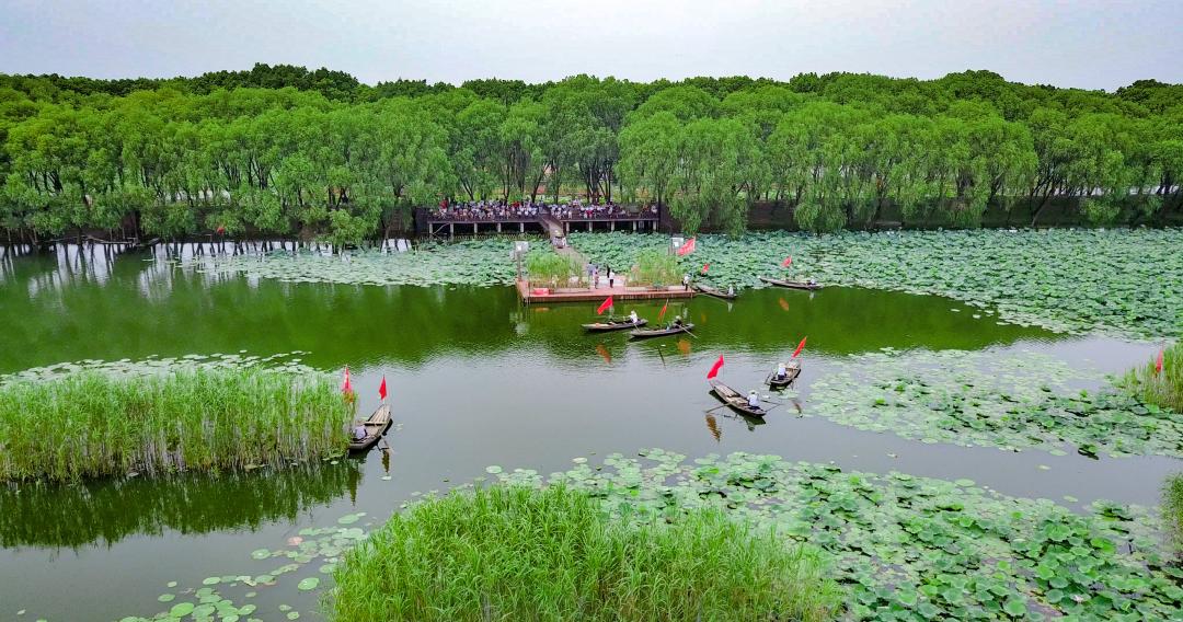 洪湖旅游攻略_洪湖旅游景點攻略_洪湖旅游攻略必去景點
