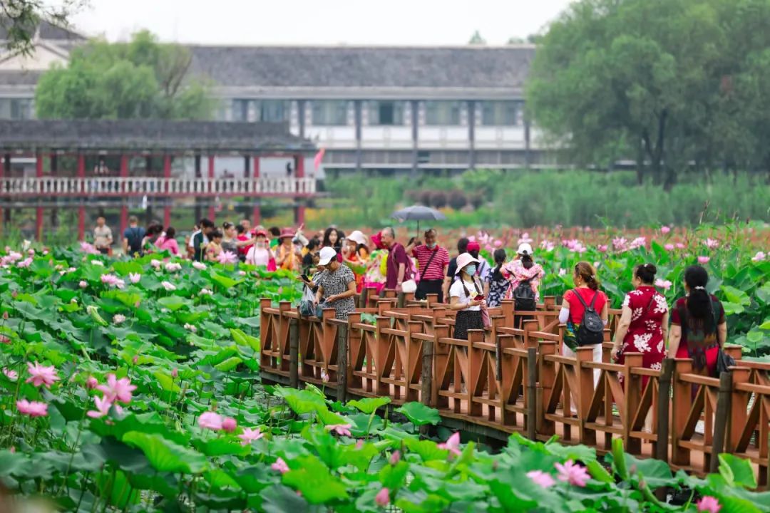 洪湖旅游攻略_洪湖旅游景點攻略_洪湖旅游攻略必去景點
