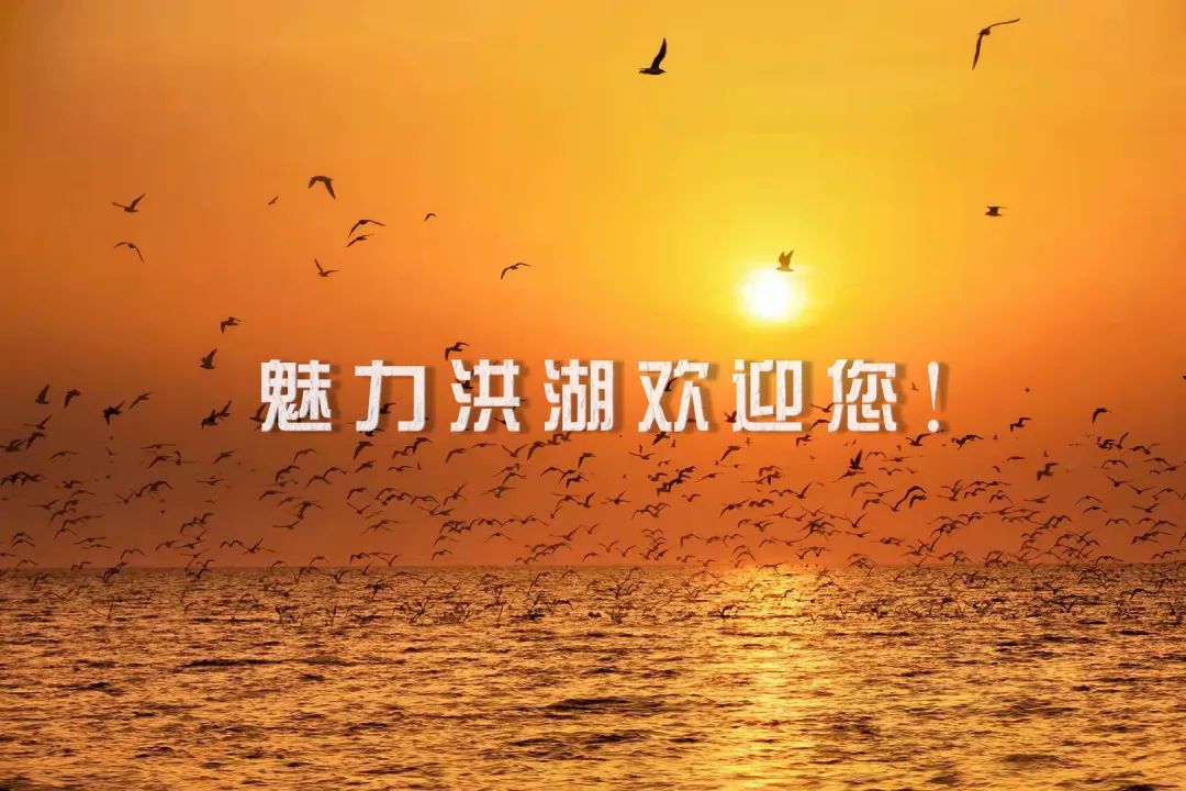 洪湖旅游攻略必去景點_洪湖旅游攻略_洪湖旅游景點攻略
