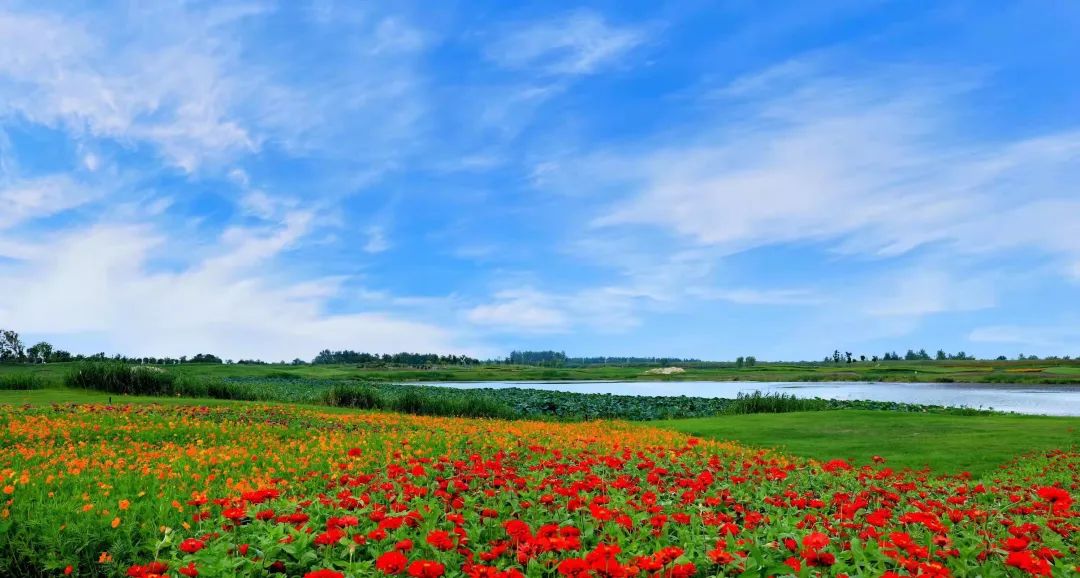 洪湖旅游景點攻略_洪湖旅游攻略_洪湖旅游攻略必去景點