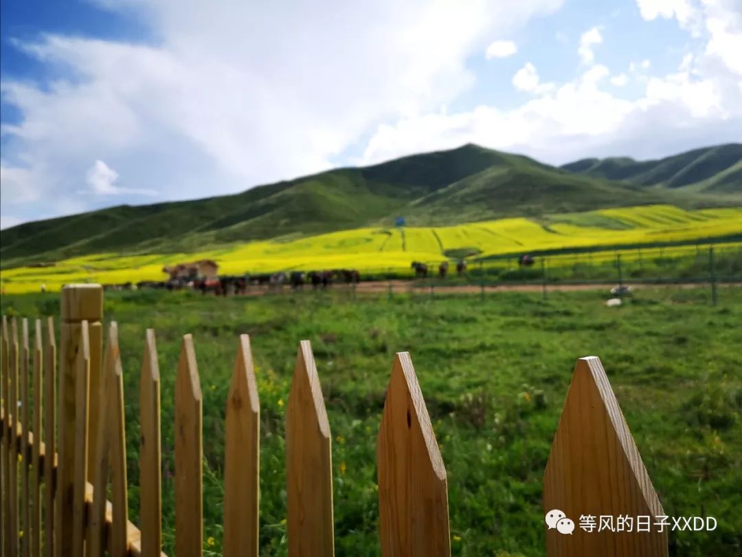 青海甘肅旅游攻略必去景點大全_青海甘肅旅游路線_甘肅青海旅游攻略