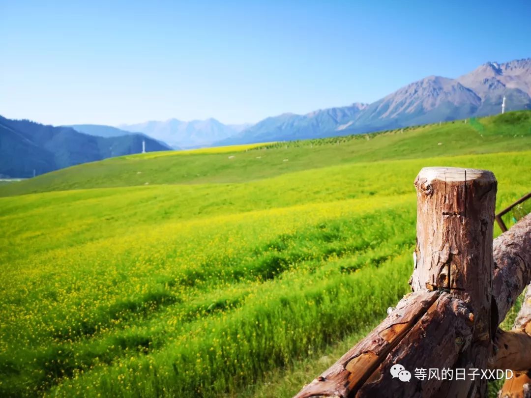 青海甘肅旅游路線_甘肅青海旅游攻略_青海甘肅旅游攻略必去景點大全