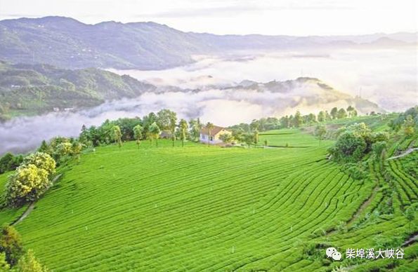 柴埠溪大灣口景區_柴埠溪游玩時間_柴埠溪大峽谷一日游攻略