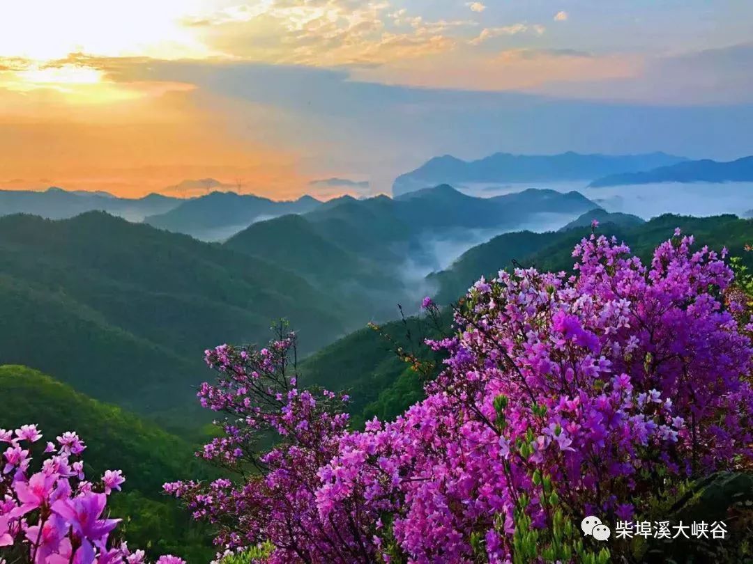 柴埠溪游玩時間_柴埠溪大灣口景區_柴埠溪大峽谷一日游攻略