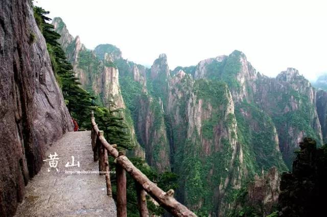 安徽明堂山景區門票_安徽明堂山風景區游玩攻略_安徽明堂山旅游攻略