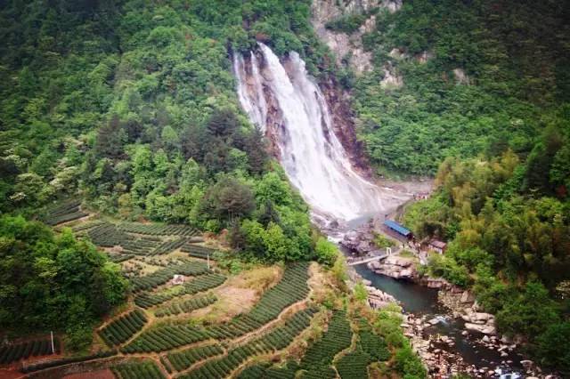 安徽明堂山景區門票_安徽明堂山旅游攻略_安徽明堂山風景區游玩攻略