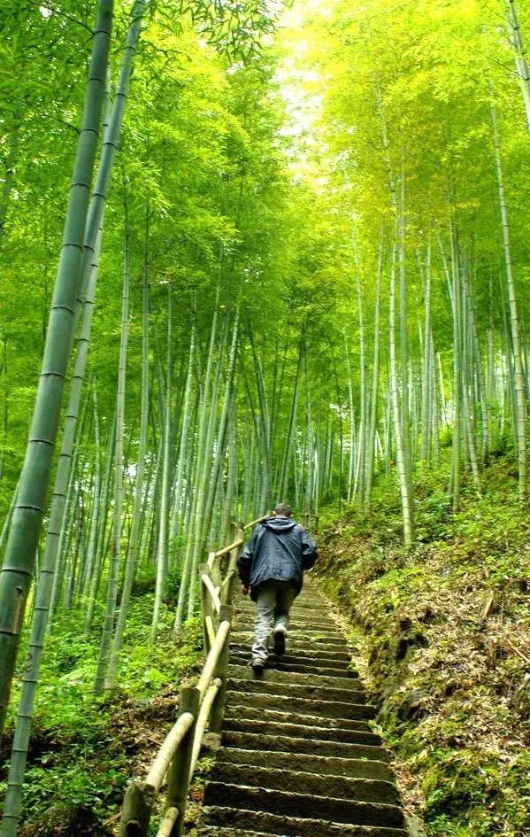 安徽明堂山風景區游玩攻略_安徽明堂山景區門票_安徽明堂山旅游攻略