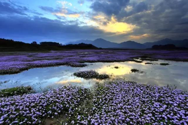安徽明堂山旅游攻略_安徽明堂山風景區游玩攻略_安徽明堂山景區門票