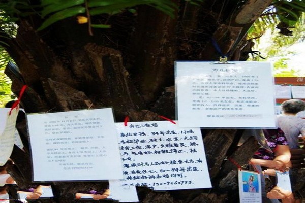 北京蓮花山風景區攻略_北京蓮花山公園門票多少錢_北京蓮花山有什么好玩的地方