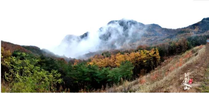 沂蒙山云蒙景區門票_沂蒙山云蒙山_沂蒙山云蒙景區攻略