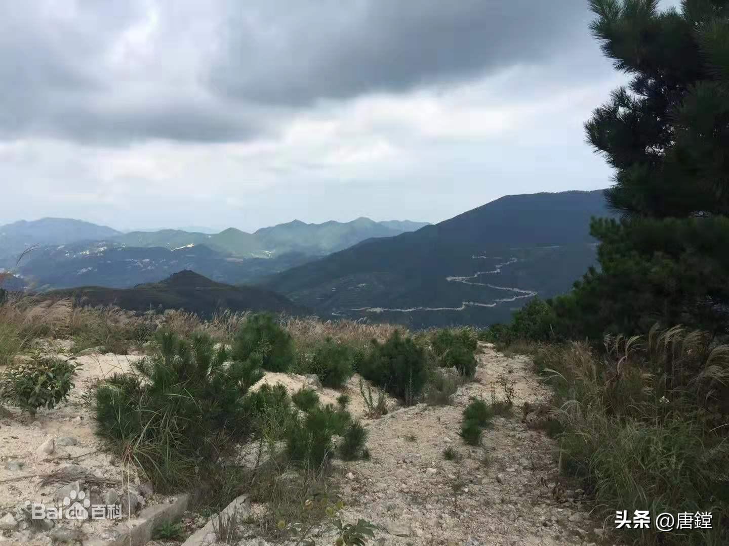 大洋山一日游攻略_山東三日游攻略及費用_山東三日游自由行攻略