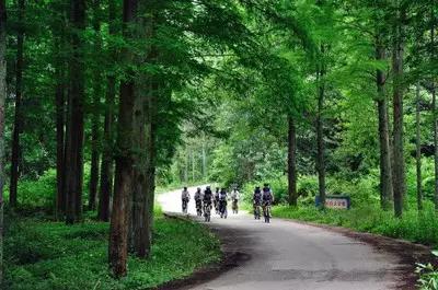 梧桐山溯溪_梧桐山溯溪路線攻略_梧桐山溯溪要做哪些準備