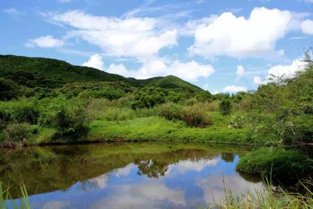 梧桐山溯溪_梧桐山溯溪路線攻略_梧桐山溯溪要做哪些準備