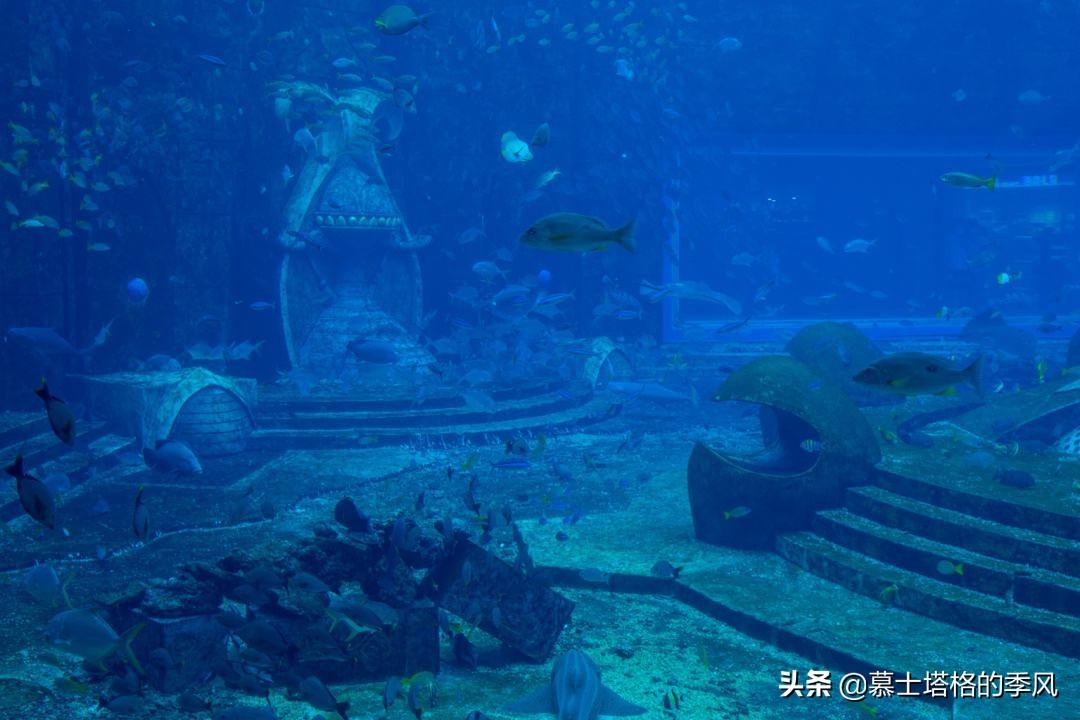 親子游去三亞必去景點(diǎn)_三亞親子旅游景點(diǎn)_三亞親子游攻略