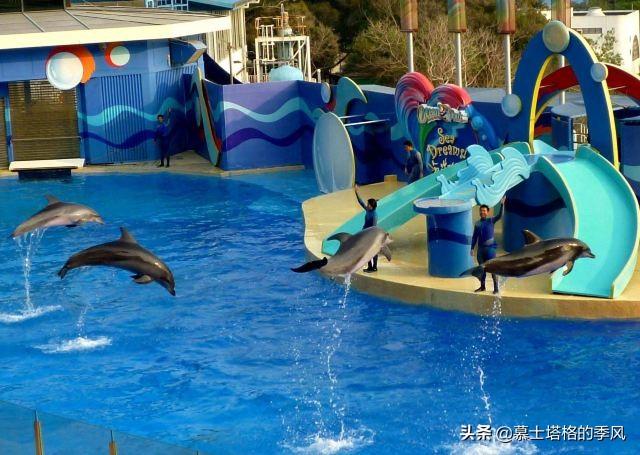 三亞親子旅游景點(diǎn)_三亞親子游攻略_親子游去三亞必去景點(diǎn)