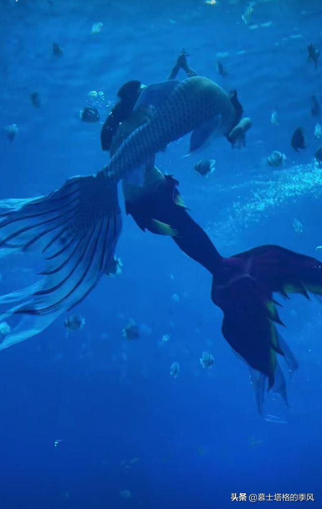 親子游去三亞必去景點(diǎn)_三亞親子旅游景點(diǎn)_三亞親子游攻略