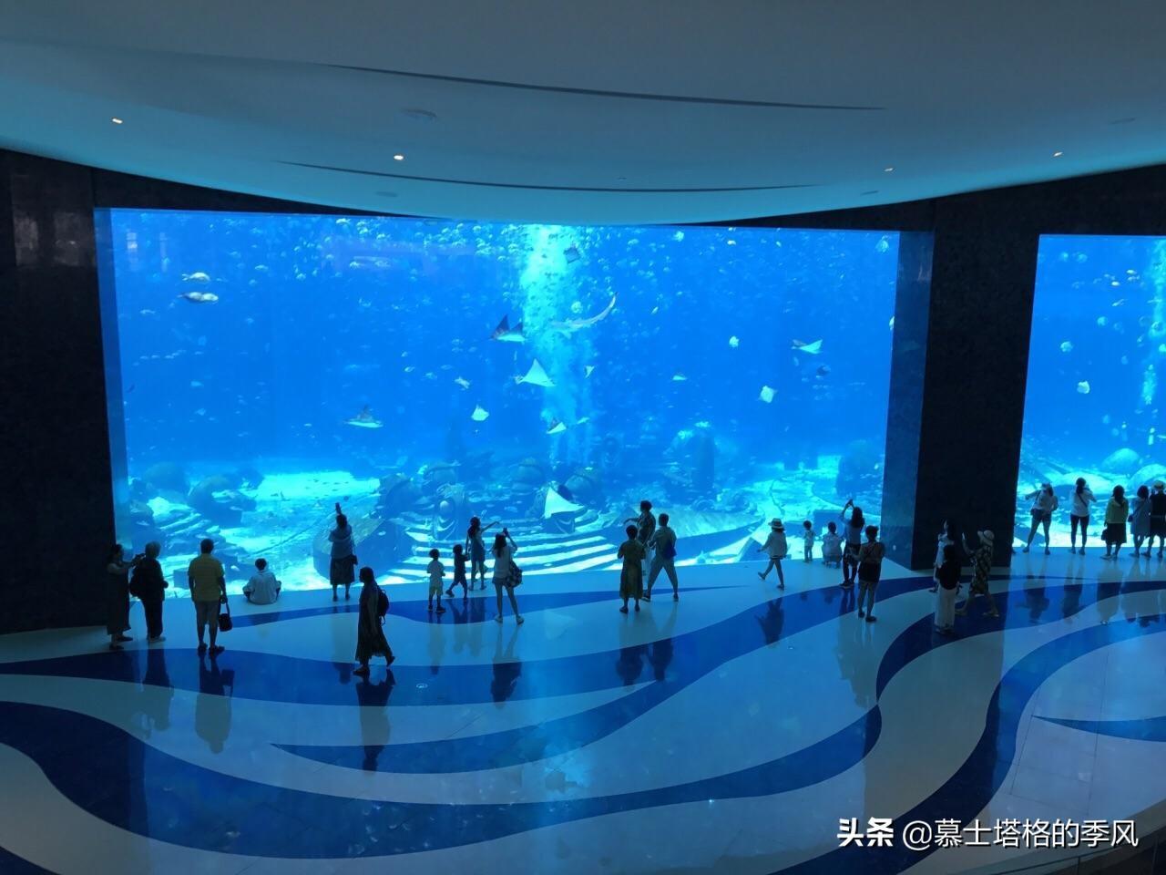 三亞親子旅游景點(diǎn)_親子游去三亞必去景點(diǎn)_三亞親子游攻略