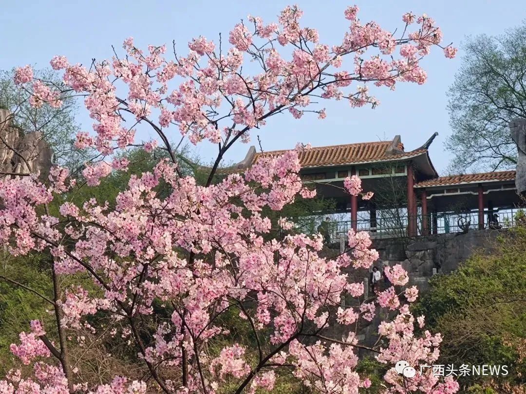 桂林景點攻略旅游路線_桂林景點攻略旅游推薦_桂林景點旅游攻略