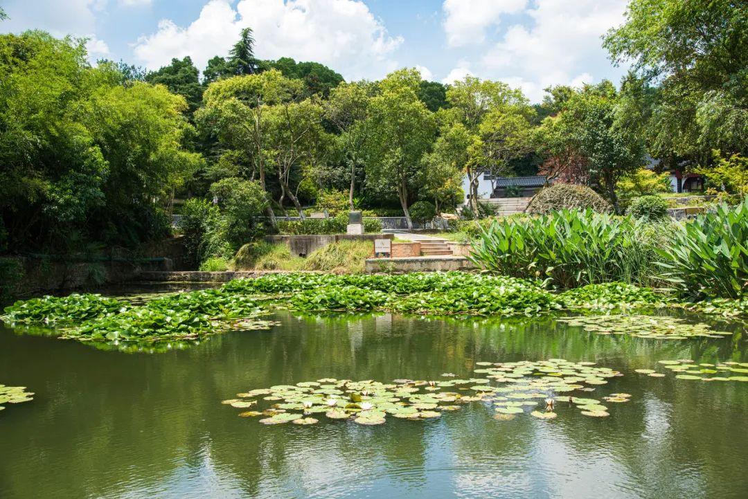 徑山寺自駕游攻略_徑山寺自己能自駕么_自駕寺攻略游徑山路線