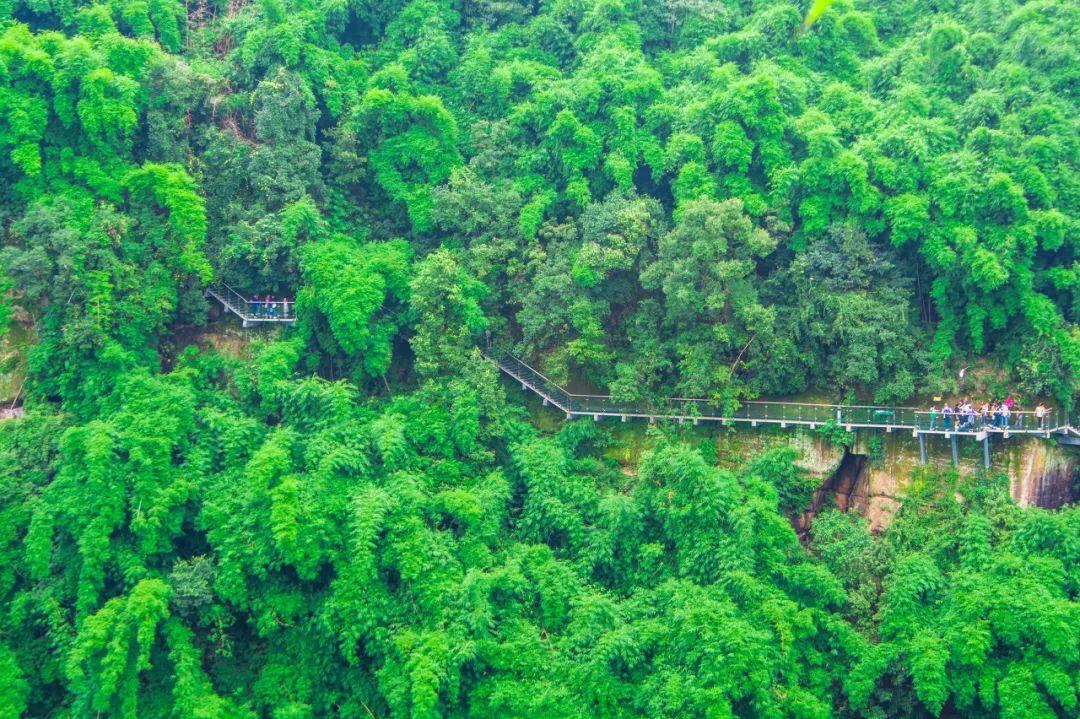 自駕寺攻略游徑山路線_徑山寺自駕游攻略_徑山寺自己能自駕么