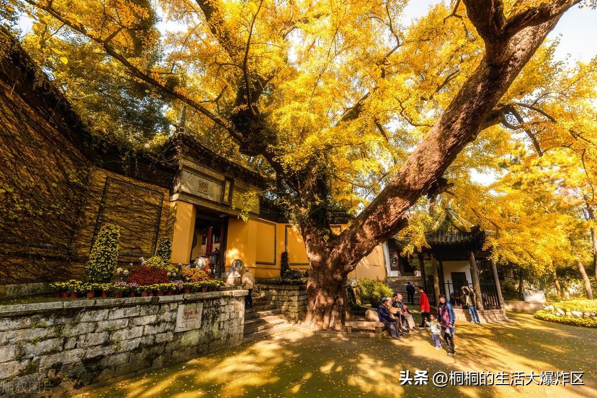 無錫旅游攻略一日游最佳線路_無錫線路攻略日游最佳旅游地點(diǎn)_無錫線路攻略日游最佳旅游季節(jié)