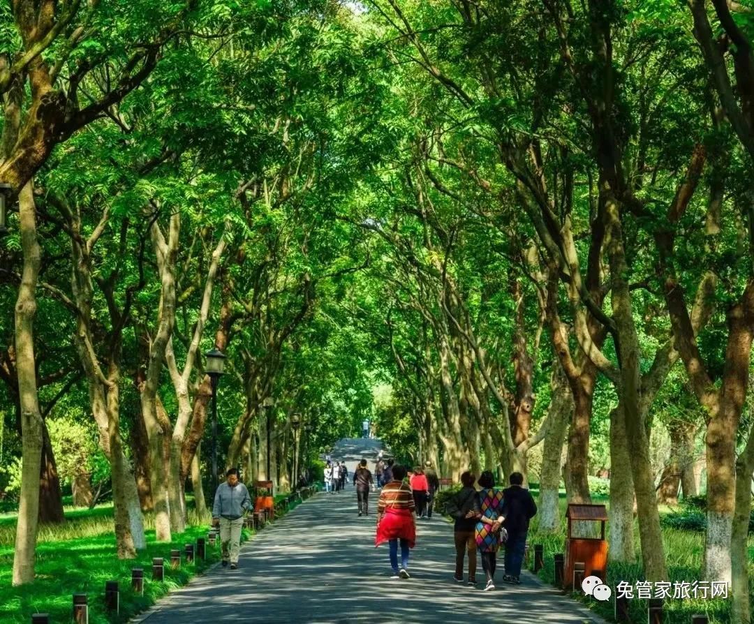 靈隱寺一日游_靈隱寺一日游攻略_靈隱寺打卡地
