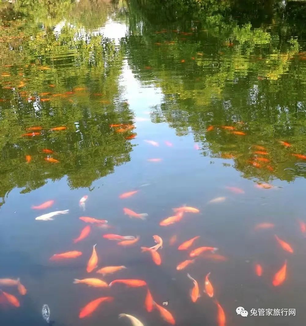 靈隱寺打卡地_靈隱寺一日游攻略_靈隱寺一日游