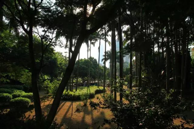 廈門島外旅游景點_廈門島外旅游攻略_去廈門島外必玩的十大景點