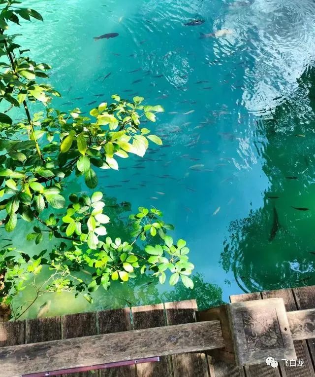 蘇杭七日游路線_蘇杭7日游_蘇杭旅游攻略七日游