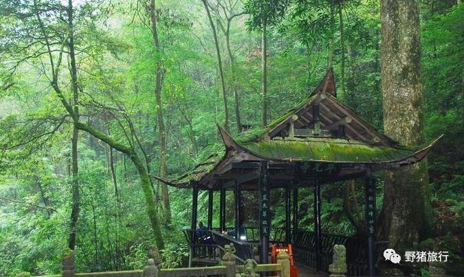 四川成都旅游攻略景點必去_成都四川旅游區(qū)有什么景點_四川成都旅游路線推薦
