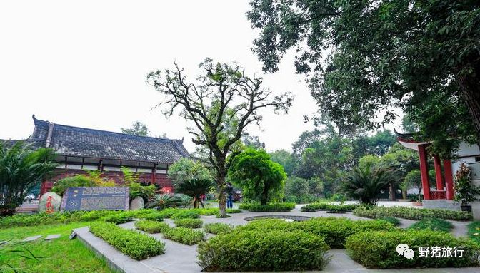 四川成都旅游路線推薦_四川成都旅游攻略景點必去_成都四川旅游區(qū)有什么景點