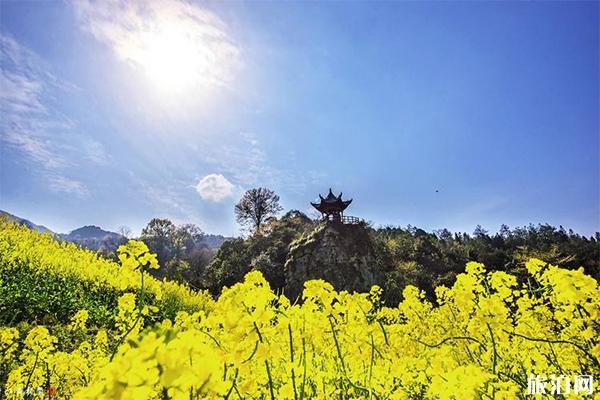 牛牯嶂景區(qū)攻略_牛牯嶂好玩嗎_牛牯嶂山