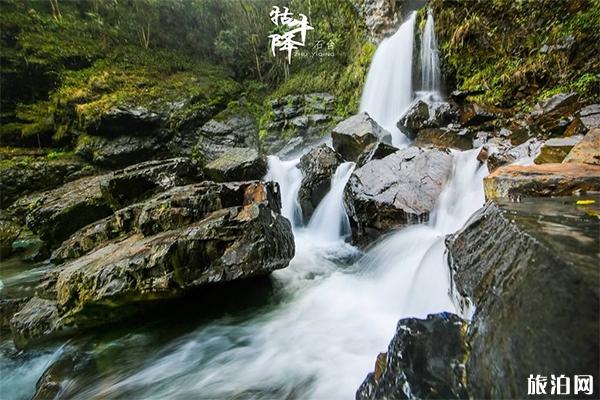 牛牯嶂景區(qū)攻略_牛牯嶂好玩嗎_牛牯嶂山