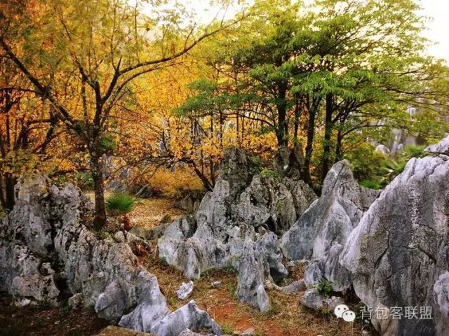 汾湖好玩的_汾湖周邊旅游景點_汾湖風景區游玩攻略