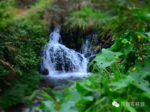 汾湖好玩的_汾湖周邊旅游景點_汾湖風景區游玩攻略