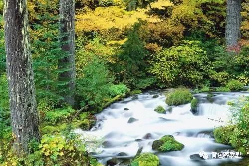 汾湖好玩的_汾湖風景區游玩攻略_汾湖周邊旅游景點