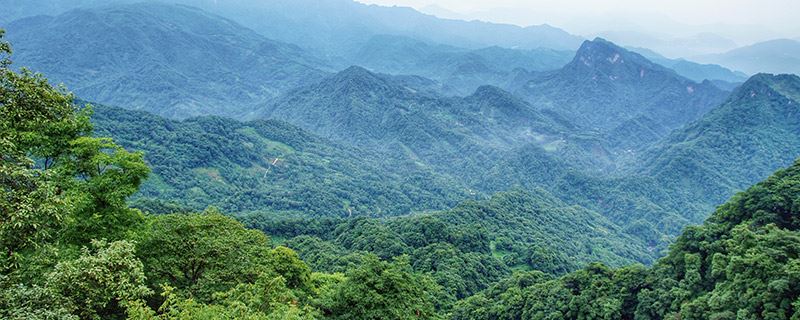 都江堰青城山好玩嗎_青城山都江堰旅游攻略_都江堰青城山旅游官網
