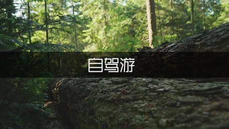 舟山普陀山游玩攻略_游玩舟山攻略普陀山路線圖_旅游舟山普陀山