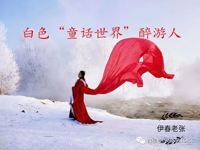 自駕攻略旅游伊春游路線_伊春旅游攻略自駕游_自駕游伊春風景區最佳線路