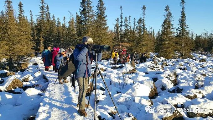 伊春旅游攻略自駕游_自駕游伊春風景區最佳線路_自駕攻略旅游伊春游路線