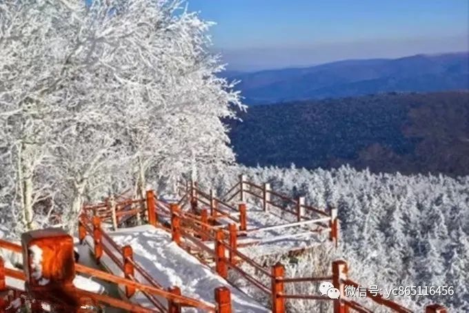 自駕攻略旅游伊春游路線_自駕游伊春風景區最佳線路_伊春旅游攻略自駕游
