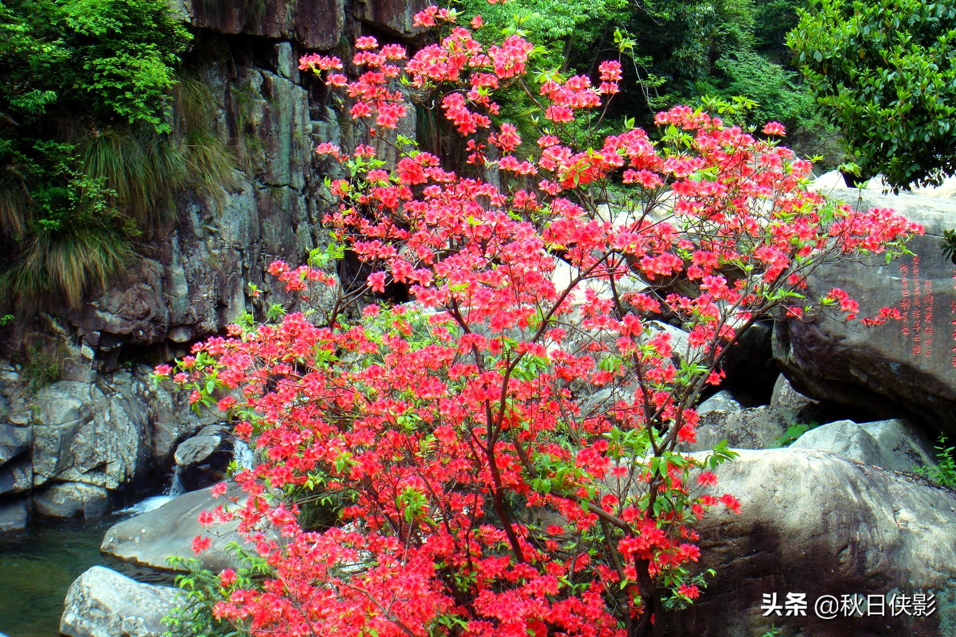 臨安天目大峽谷旅游景區(qū)攻略_臨安區(qū)大峽谷中心學(xué)校_臨安大峽谷民宿