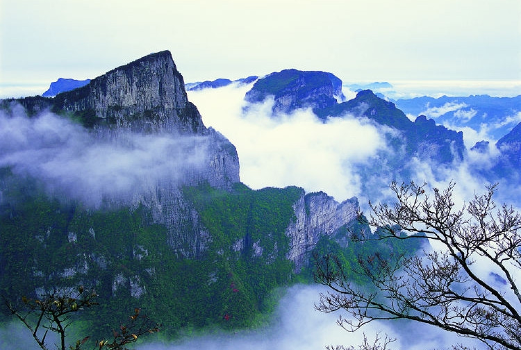 到張家界的旅游攻略_張家界旅行路線_張家界攻略路線