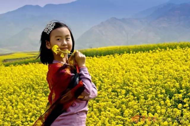 藍(lán)田玉山景點(diǎn)有哪些好玩的_藍(lán)田玉山網(wǎng)紅打卡景點(diǎn)_藍(lán)田玉山風(fēng)景區(qū)自駕游攻略