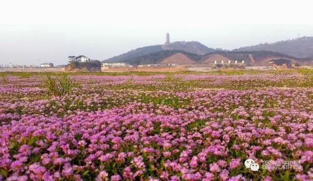 昌化旅游攻略_昌北附近旅游_都昌旅游攻略