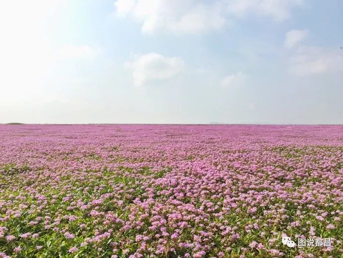 都昌旅游攻略_昌化旅游攻略_昌北附近旅游