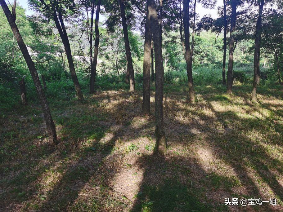 秦嶺游玩_秦嶺游玩攻略_游玩秦嶺攻略一日游