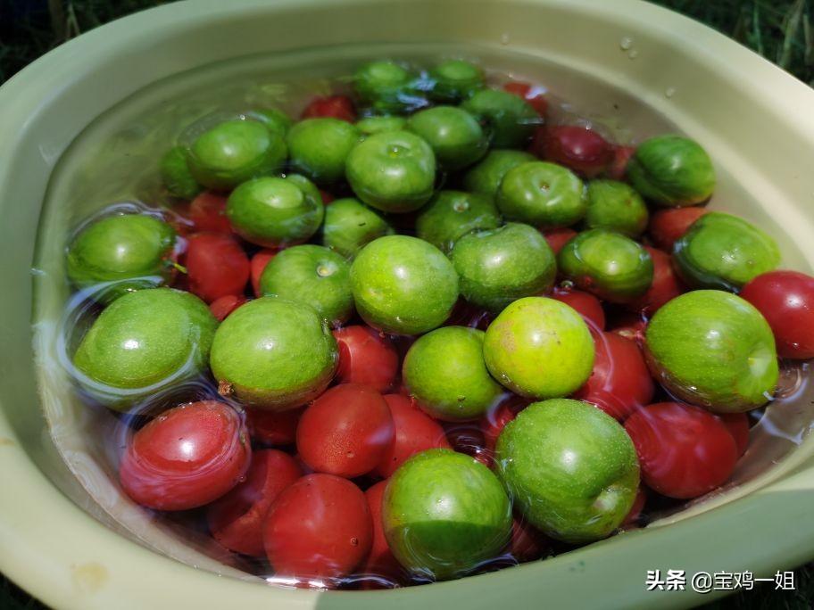 秦嶺游玩_游玩秦嶺攻略一日游_秦嶺游玩攻略