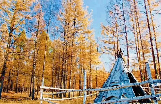 秋季攻略呼倫貝爾旅游路線_呼倫貝爾秋季旅游線路_呼倫貝爾秋季旅游攻略