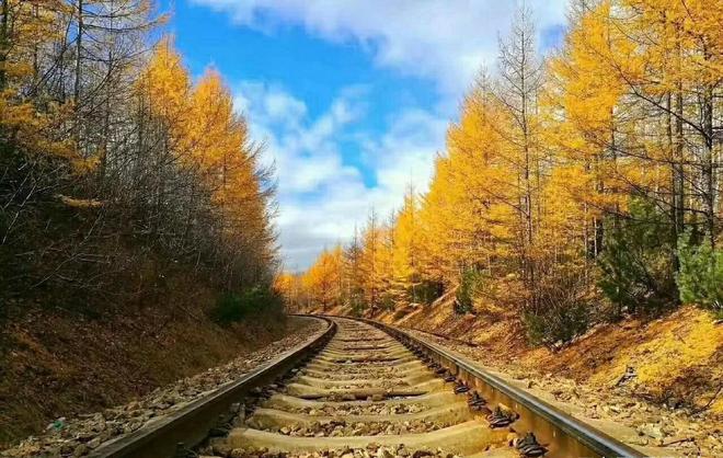 呼倫貝爾秋季旅游攻略_秋季攻略呼倫貝爾旅游路線_呼倫貝爾秋季旅游線路